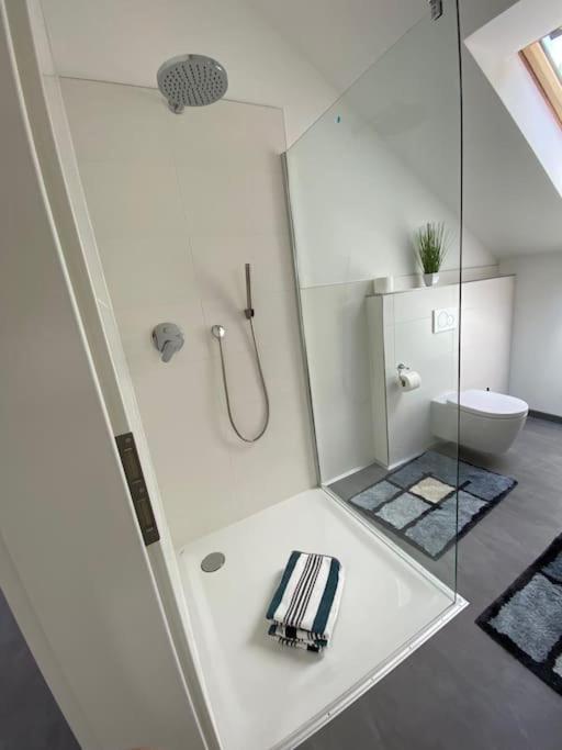 Ferienwohnung Valentin باساو المظهر الخارجي الصورة